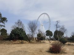 -祥源·阜阳生态乐园