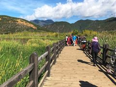 -泸沽湖国家级风景名胜区走婚桥