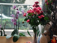 -六月花园咖啡馆(中关村东路店)