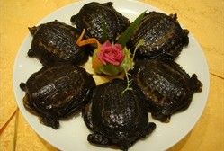 -湖北味道(湖北大厦店)