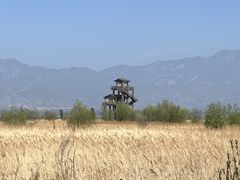 -野鸭湖国家湿地公园