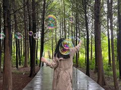 -溱湖国家湿地公园