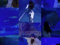 -福州罗源湾海洋世界旅游区