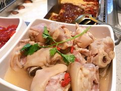 猪蹄-海底捞火锅(老城根店)
