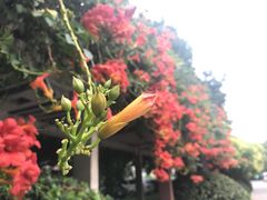-河南中州皇冠假日酒店