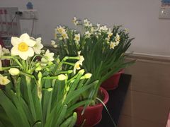 水仙花-芙蓉餐厅(厦大店)
