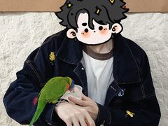 -吉丁鸟咖·异宠·寄养