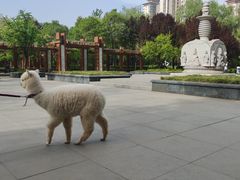 -木塔寺遗址生态公园