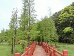 -广州市石门国家森林公园