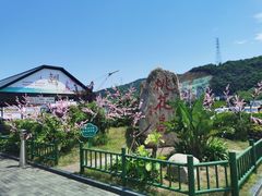 -桃花岛风景旅游区