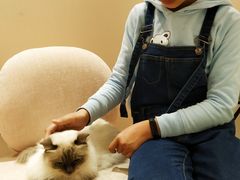 -藏猫猫咖啡主题馆(中央大道店)