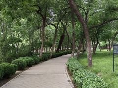 -元大都城垣遗址公园