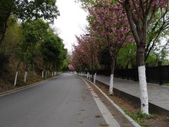 -仙海旅游度假区