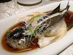 -红辣椒·川菜·火锅(科华路店)