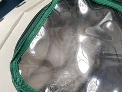 -伟伟宠物医院·瑞派猫友好医院·猫科(光谷店)