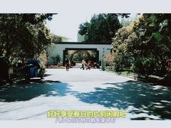 -莫愁湖公园