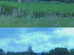 -良渚古城遗址公园