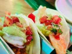 -Famous肥猫墨西哥音乐餐吧(五棵松华熙LIVE店)