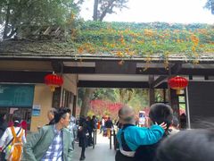 -桃花涧