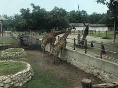 -西安秦岭野生动物园