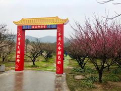 -香雪海