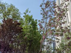 -北京理工大学(中关村校区)