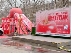 -金茂览秀城