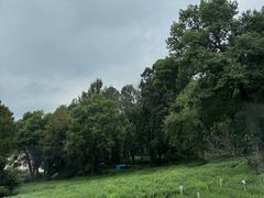 -野蔓果·山野菜(西湖景区·龙井茶田店)