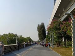 -宝安西湾红树林湿地公园