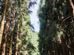 -太阳湾风景区