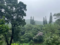 -广州市白云山风景名胜区
