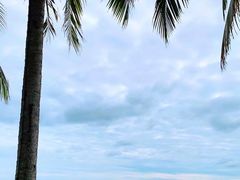 -三亚海棠湾万丽度假酒店