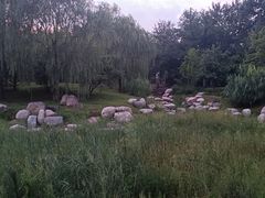 -莲花池公园