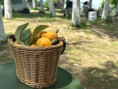 -西山风景区