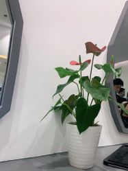 -和良形象