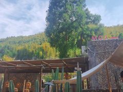 -MOJ coffee(瓯海泽雅水碓坑店)