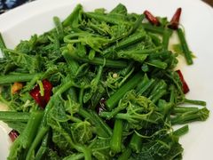 丝瓜尖-喜林苑·稻田餐厅(品相府店)