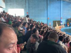-蓬莱欧乐堡海洋极地世界