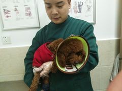 -仁华宠物医院(青羊店)