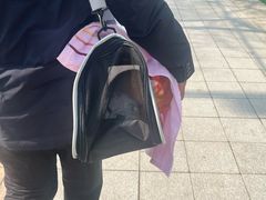 -佑安动物医院·全科·内窥镜中心(幸福巷店)