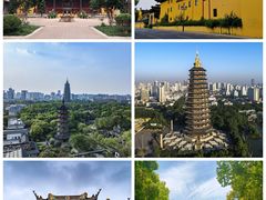 -中华恐龙园