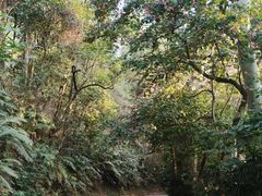 -白云山风景名胜区