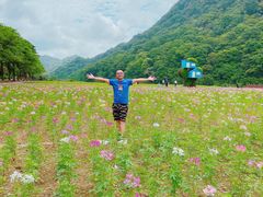 -广州市石门国家森林公园