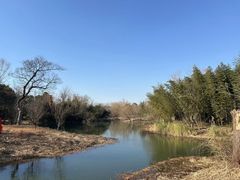 -梁鸿国家湿地公园