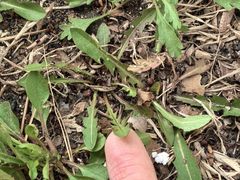 -水丽汇休闲浴馆(香坊店)