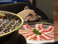 -樱嘢·炭火烧肉(惠南店)