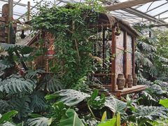 -呀路古热带植物园