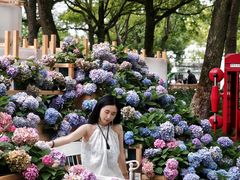 -上海鲜花港