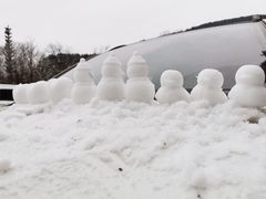 -武陵山森林公园