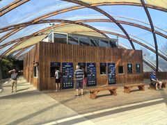 -怀托摩萤火虫洞